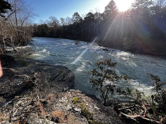 Bayou Bluff Recreation Area 2