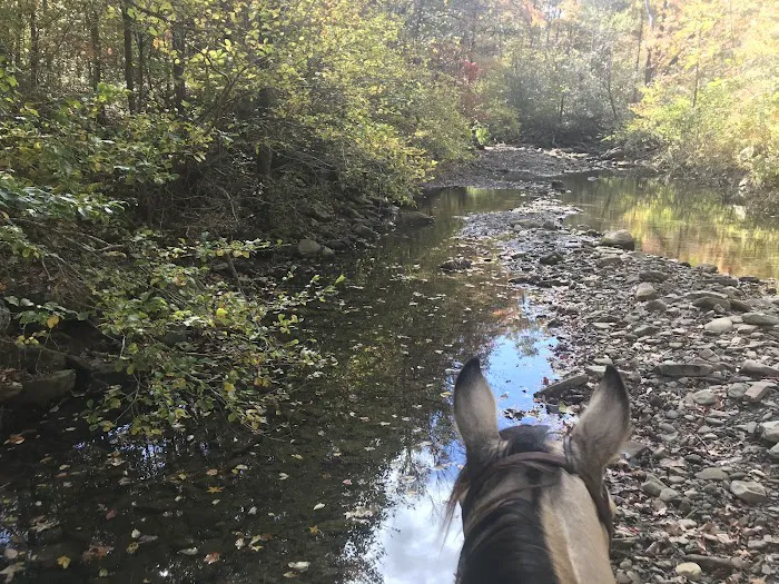 Boston Mountain Horse Camp 2