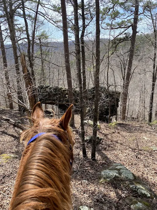 Boston Mountain Horse Camp 10
