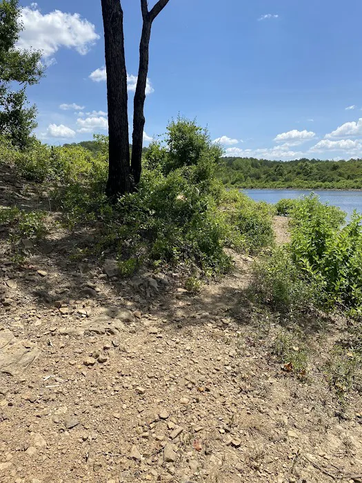 Upper Brock Creek Campground 4