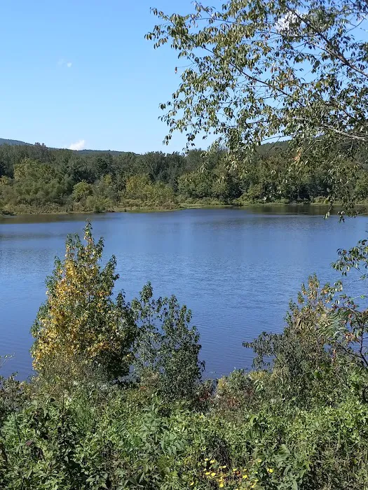 Upper Brock Creek Campground 2