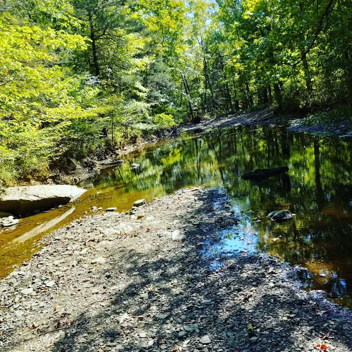 Upper Brock Creek Campground 5