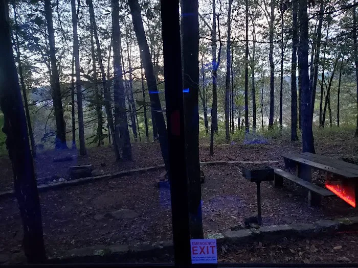 Upper Brock Creek Campground 6
