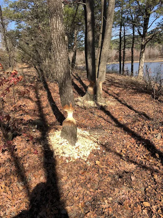 Upper Brock Creek Campground 10