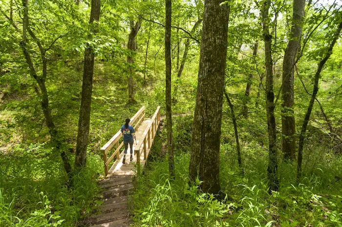 Tyler Bend Campground 9