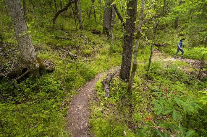 Tyler Bend Campground 8