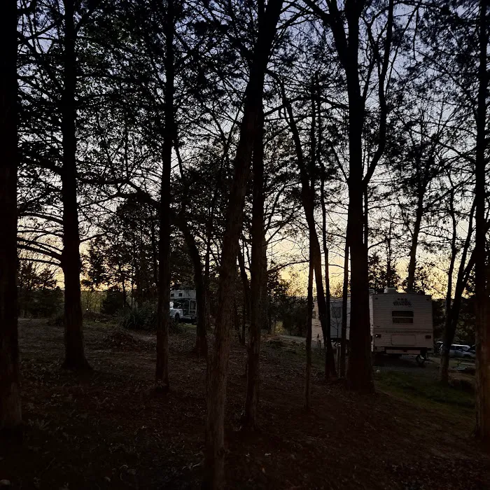 Into the Woods RV Park & Campground 2