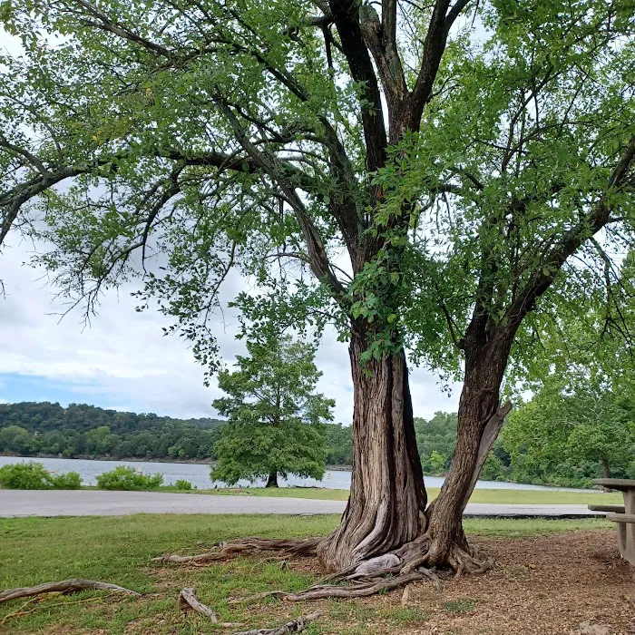 Cricket Creek Park 3