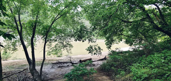 Shine Eye Campground 1