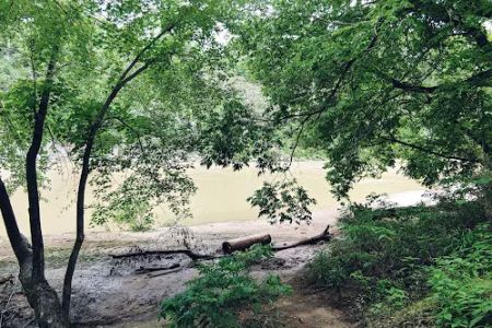Shine Eye Campground