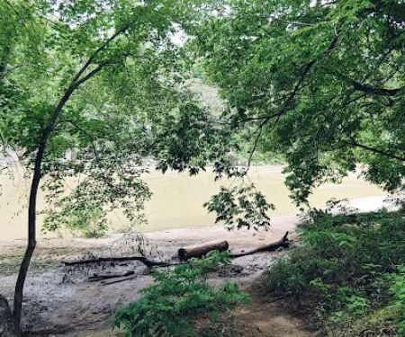 Shine Eye Campground