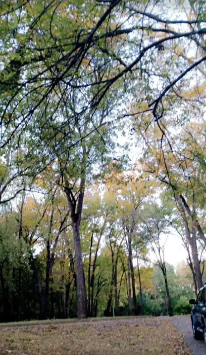 Clear Creek Park Campground 10