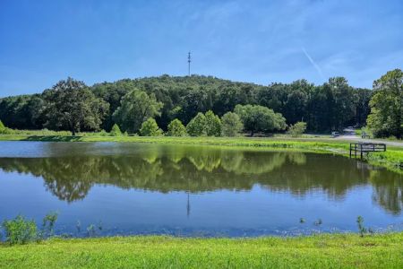 Flat Rock Village Retirement