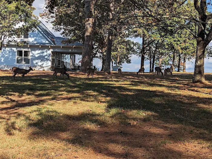 Mount Nebo Campground 9