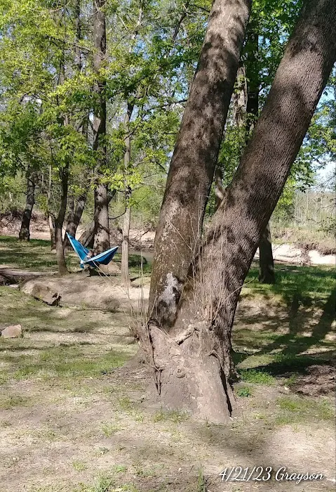 Caplinger Woods 2