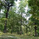 Deer Run RV Park & Campground