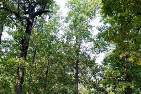 Deer Run RV Park & Campground