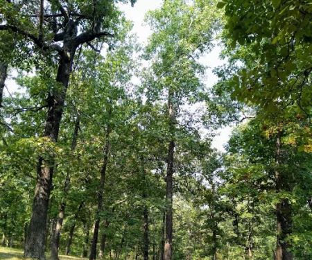 Deer Run RV Park & Campground