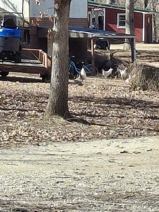 Deer Run RV Park & Campground 3