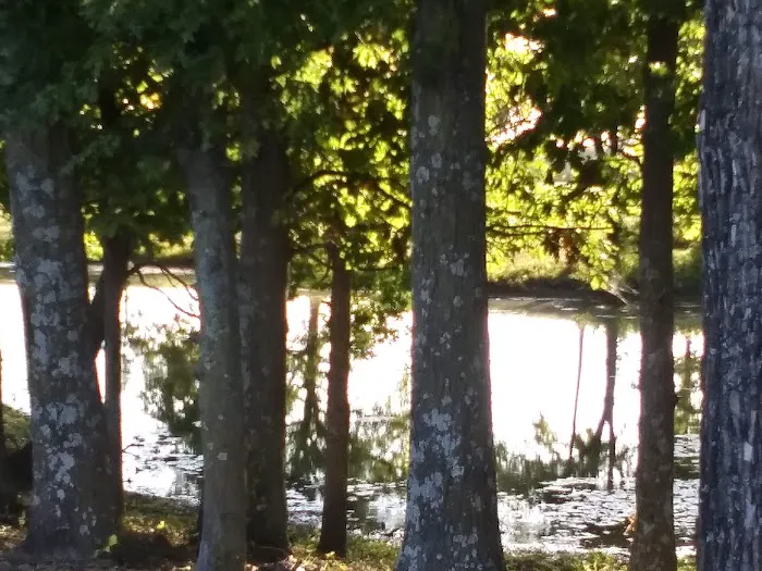 3 Mile RV Park 1