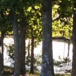 3 Mile RV Park