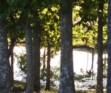 3 Mile RV Park