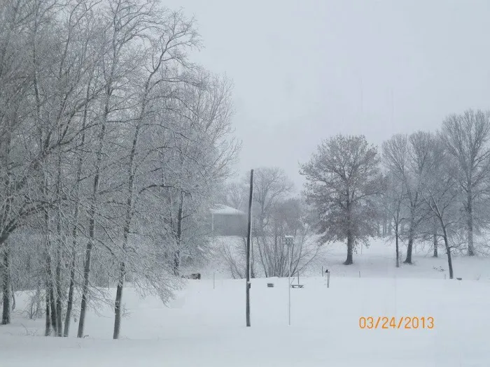 3 Mile RV Park 8