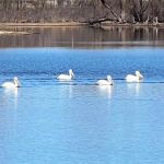 Lakeshore Bliss Resort