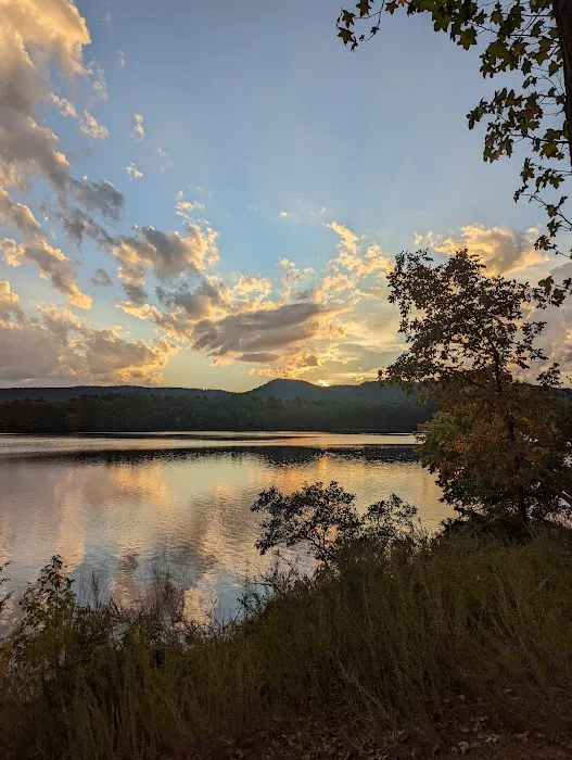 Cove Lake Campground 10