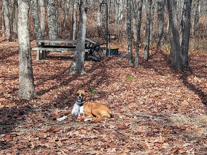 Cameron Bluff Campground 10