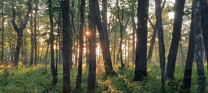 Cameron Bluff Campground 7