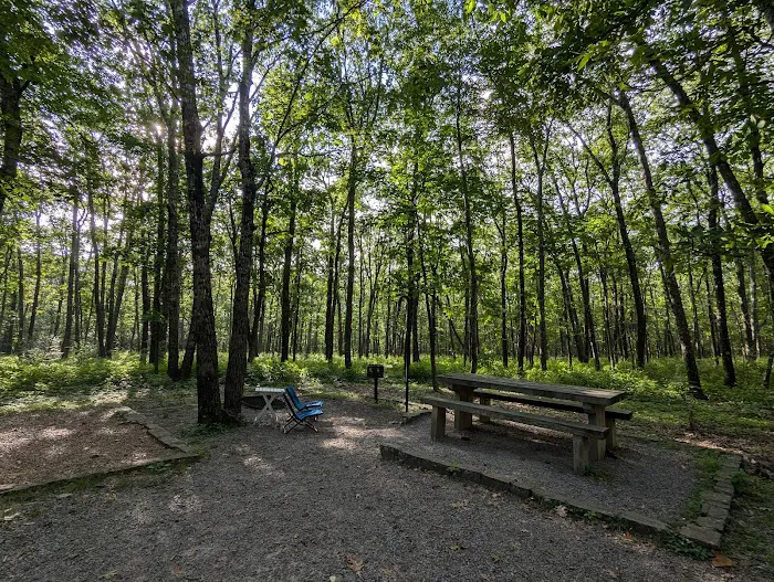 Cameron Bluff Campground 3