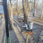 Cameron Bluff Campground