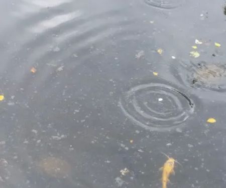 Old Post Road Park Gate House