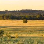Central Arkansas Eclipse