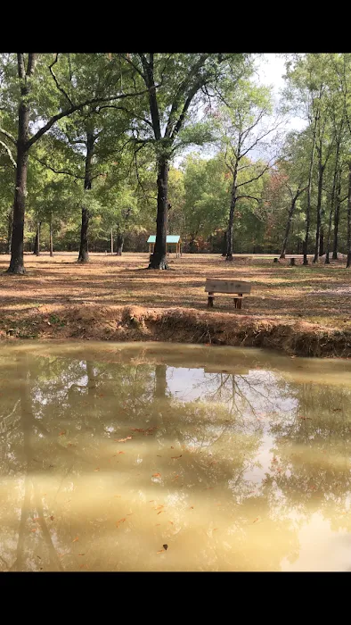 Talley Lane Rv Park LLC 6