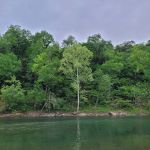 South Maumee Campground