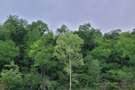 South Maumee Campground
