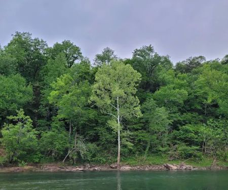 South Maumee Campground