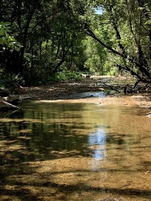Rush Campground 7