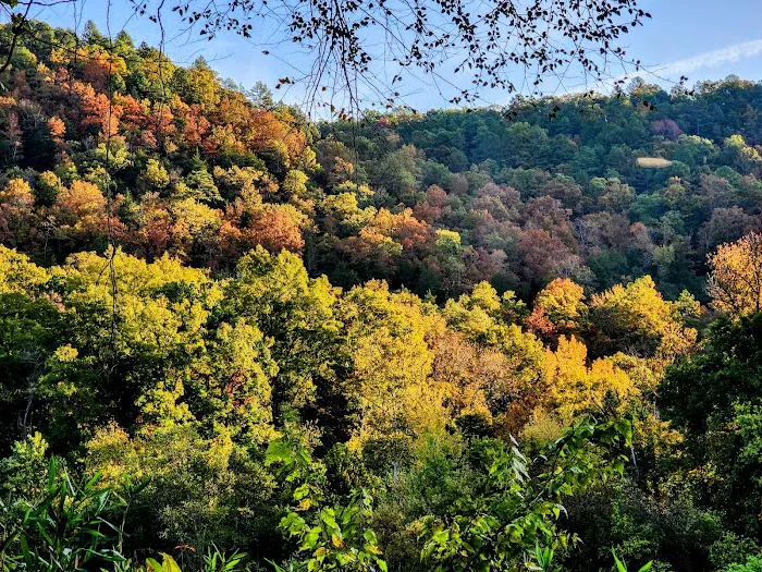 Buffalo Point Campground 8
