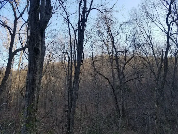 Spring Creek Campground 9