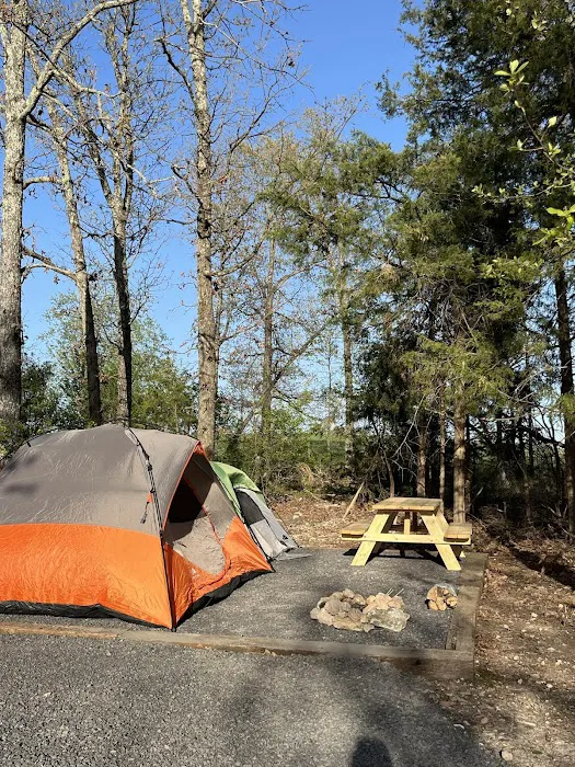 Grassy Road Cabins and Camping 8