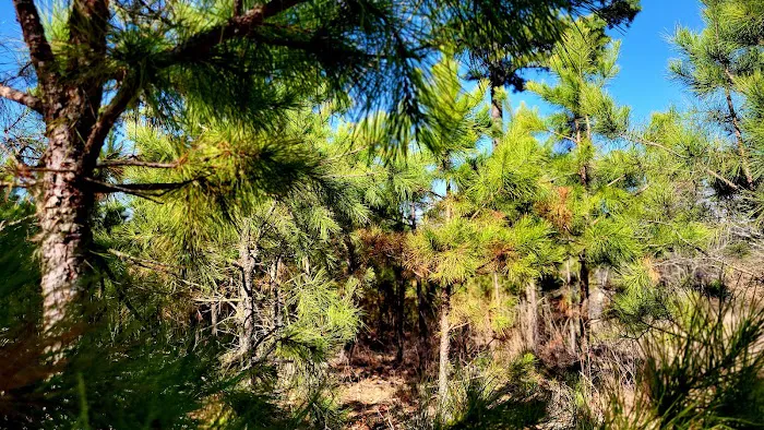 Cary Lane RV Park 7