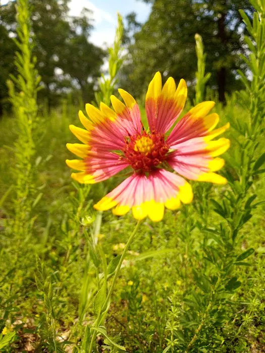 Cary Lane RV Park 6