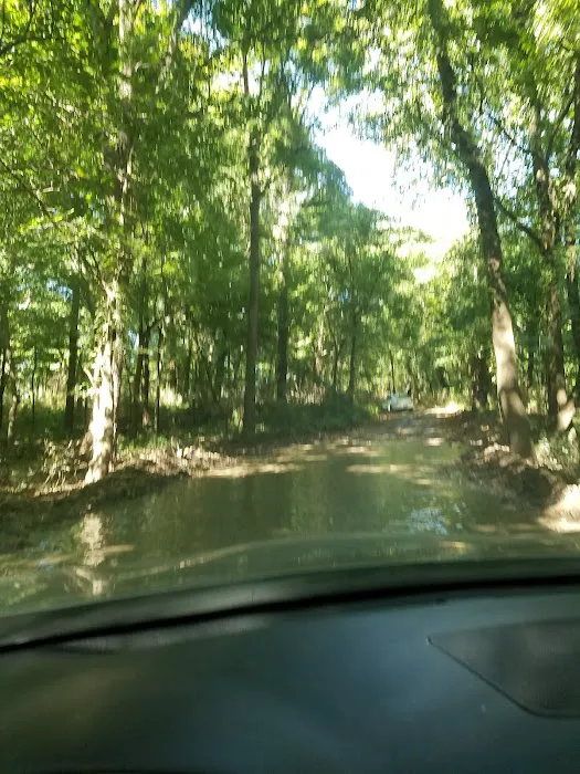 Baron Fork Creek Boy Scout Hole 7
