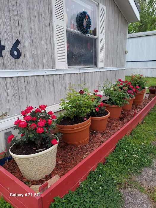 Cameo Mobile Home Park 2