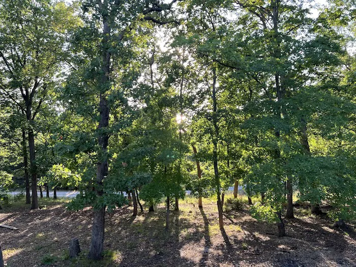 Seneca Campsite 6