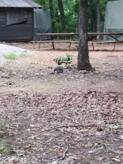 Mohican Campsite 8