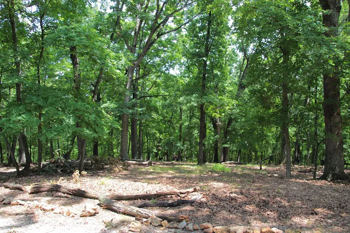 Mohican Campsite 9